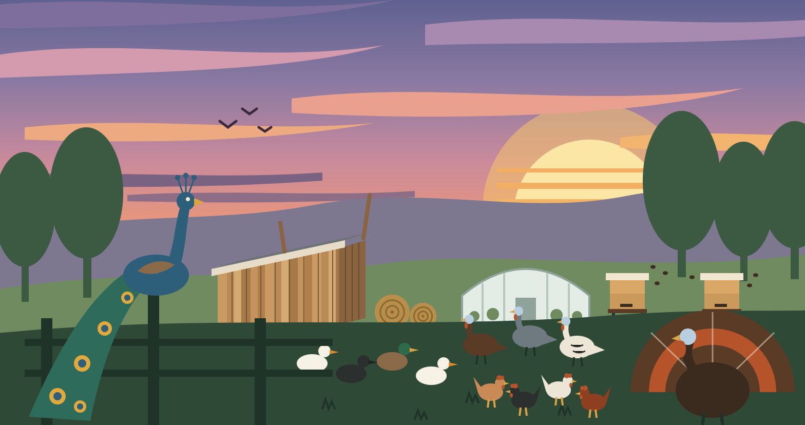 Illustration: a Virginia farm at sunset with a peacock, ducks, chickens, turkeys, a greenhouse, beehives and a lumber shed