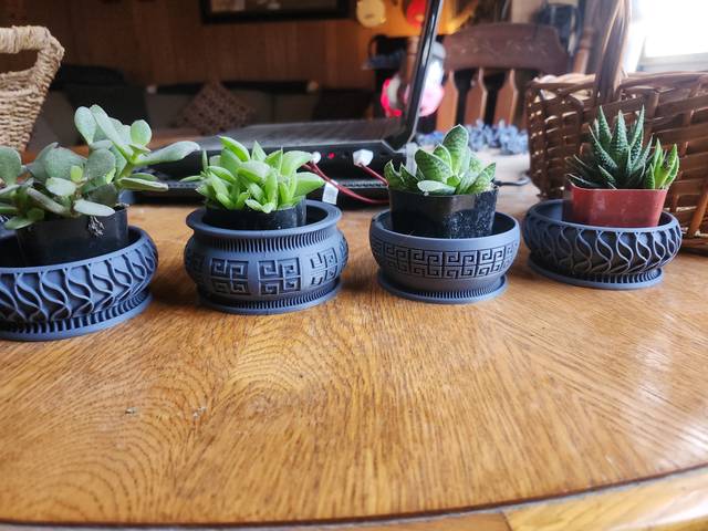 3D printed planters holding succulents